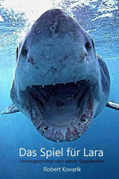 Das Spiel für Lara (eBook, PDF)