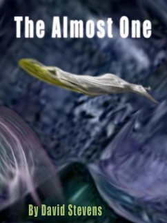 The Almost One (eBook, ePUB) - Stevens, David