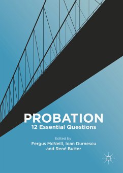 Probation (eBook, PDF)