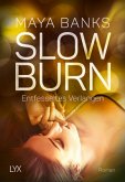 Entfesseltes Verlangen / Slow Burn Bd.4