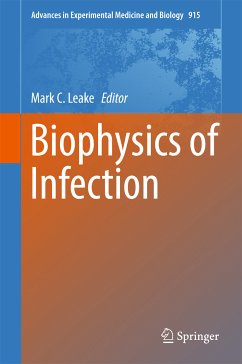 Biophysics of Infection (eBook, PDF)