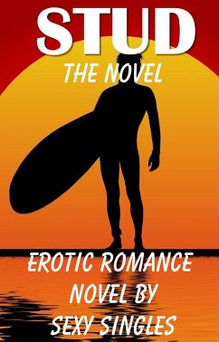 Cover Stud ~ The Novel (eBook, ePUB)