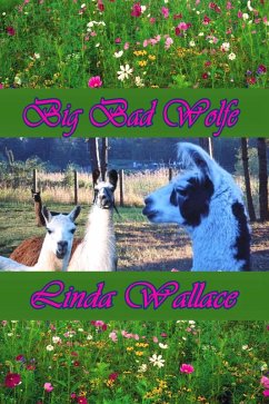 Cover Big Bad Wolfe (eBook, ePUB)