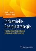 Industrielle Energiestrategie (eBook, PDF)