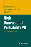 High Dimensional Probability VII (eBook, PDF)
