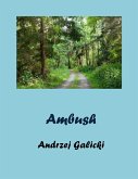 Ambush (eBook, ePUB)