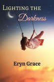Lighting the Darkness (eBook, ePUB)