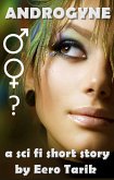 Androgyne (eBook, ePUB)