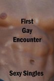 First Gay Encounter (eBook, ePUB)