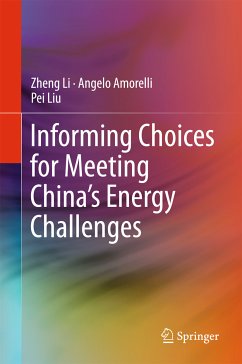 Informing Choices for Meeting China’s Energy Challenges (eBook, PDF) - Li, Zheng; Amorelli, Angelo; Liu, Pei