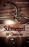 Submerged (eBook, ePUB)