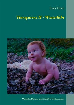 Transparenz II - Winterlicht (eBook, ePUB) - Kirsch, Katja