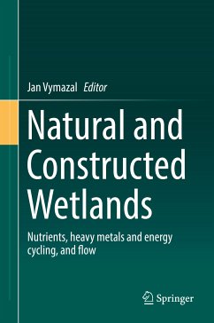 Natural and Constructed Wetlands (eBook, PDF)