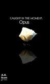 Caught In The Moment: Opus (eBook, ePUB)