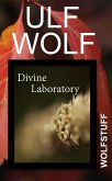 Divine Laboratory (eBook, ePUB)