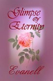 Glimpse of Eternity (eBook, ePUB)