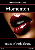 Momenten (eBook, ePUB)