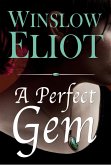 A Perfect Gem (eBook, ePUB)