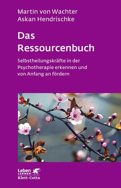 Das Ressourcenbuch - Wachter, Martin von;Hendrischke, Askan