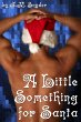 Little Something for Santa (eBook, ePUB) - Bild 1