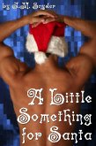 Little Something for Santa (eBook, ePUB)