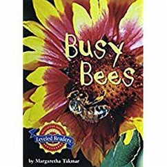 Busy Bees - Read