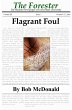 Flagrant Foul (eBook, ePUB) - Bild 1