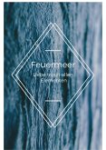 Feuermeer (eBook, ePUB)