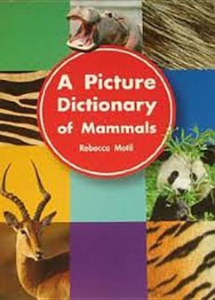 A Picture Dictionary of Mammals: Big Book Grade K
