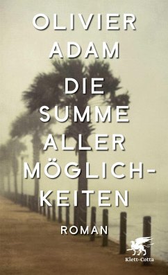 Die Summe aller Möglichkeiten - Adam, Olivier