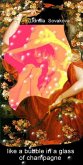 Like a Bubble in a Glass of Champagne (eBook, ePUB)