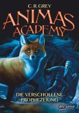 Die verschollene Prophezeiung / Animas Academy Bd.1