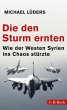 Die den Sturm ernten - Bild 1