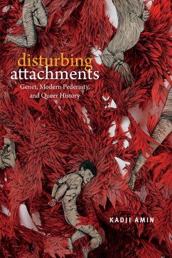 Disturbing Attachments - Amin, Kadji