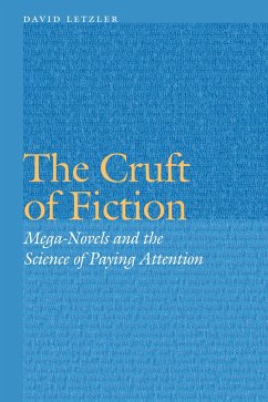 The Cruft of Fiction - Letzler, David