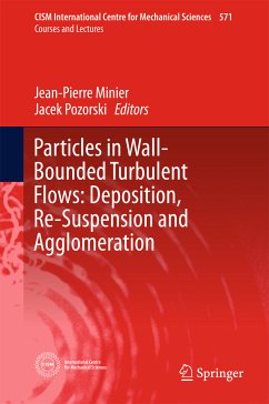Particles in Wall-Bounded Turbulent Flows: Deposition, Re-Suspension and Agglomeration (eBook, PDF)