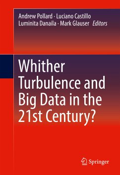 Whither Turbulence and Big Data in the 21st Century? (eBook, PDF)