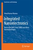 Integrated Nanoelectronics (eBook, PDF)