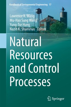 Natural Resources and Control Processes (eBook, PDF)