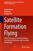 Satellite Formation Flying (eBook, PDF)