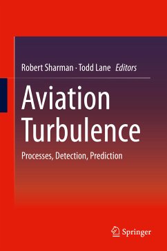 Aviation Turbulence (eBook, PDF)