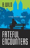 Fateful Encounters (eBook, ePUB)