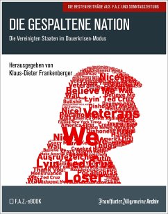 Cover Die gespaltene Nation (eBook, PDF)