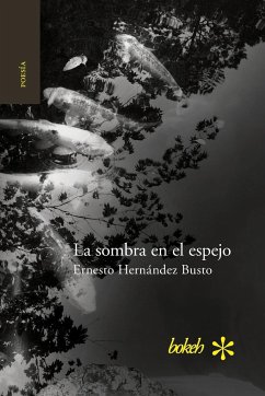 La sombra en el espejo. Versiones japonesas - Hernández Busto, Ernesto