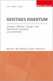 Geistiges Eigentum