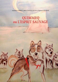 Quimmeq ou l'esprit sauvage (eBook, ePUB)