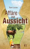 Affäre mit Aussicht (eBook, ePUB)