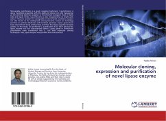 Molecular cloning, expression and purification of novel lipase enzyme