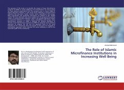 The Role of Islamic Microfinance Institutions in Increasing Well Being - Mehmood, Arshad