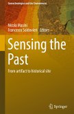 Sensing the Past